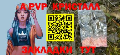 амф Сланцы