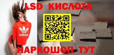 амф Сланцы