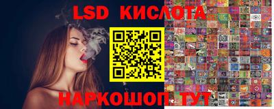 spice Славгород