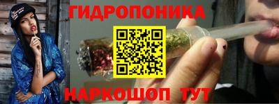 spice Славгород