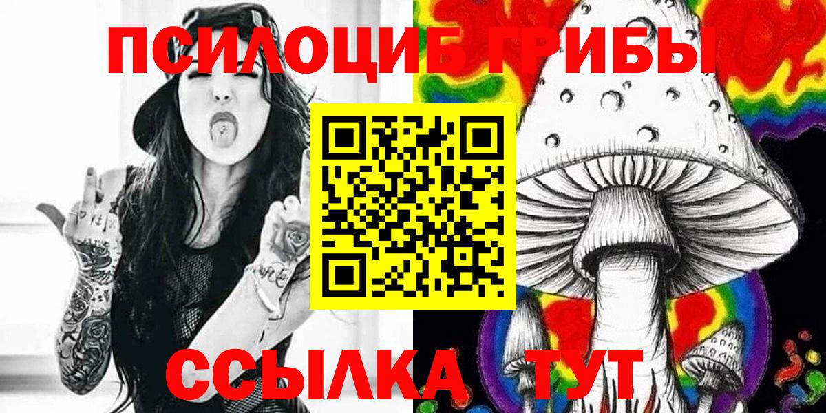 Псилоцибиновые грибы Cubensis Чебоксары