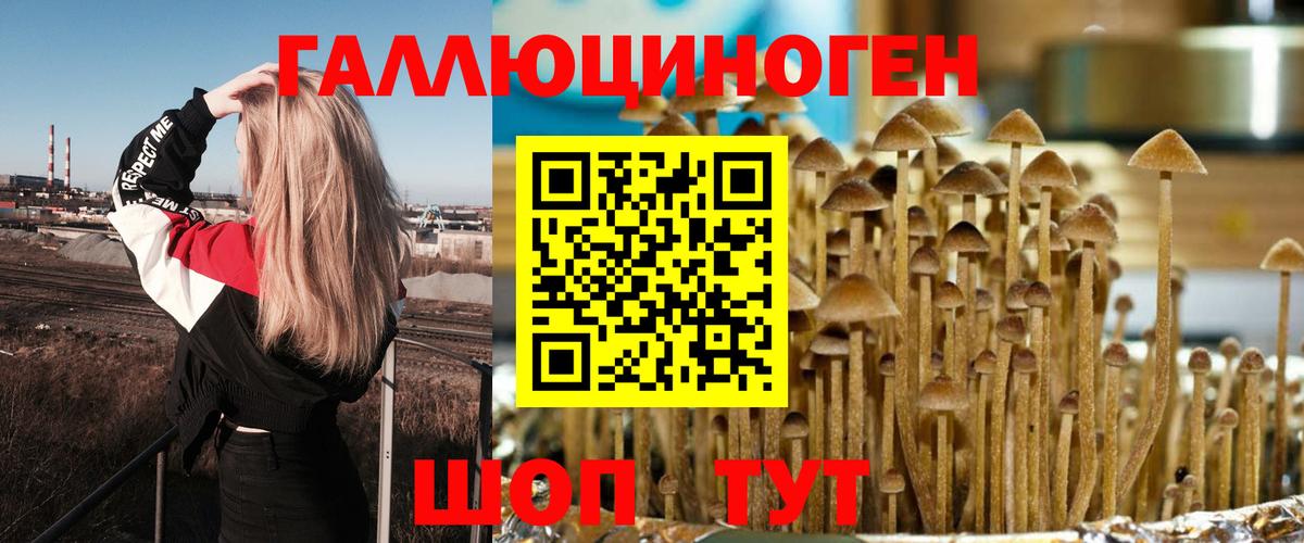 Галлюциногенные грибы Magic Shrooms  даркнет сайт  Чебоксары  Вход с VPN 